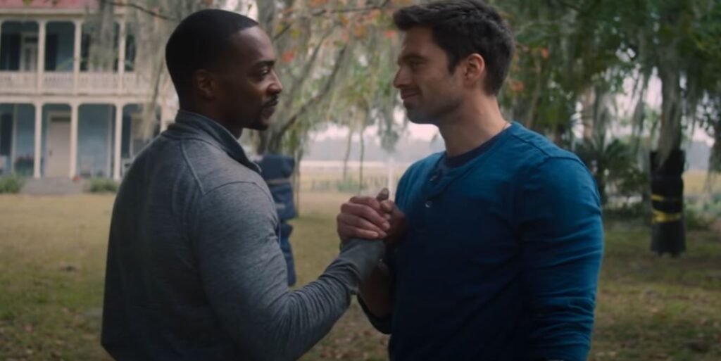 bucky and falcon